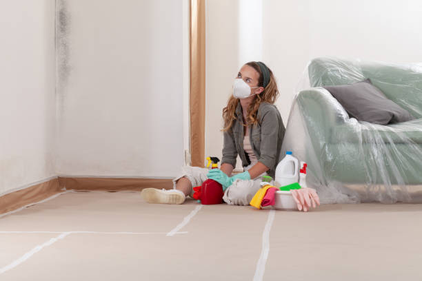 Reliable Attic Mold Removal contractor in Onley, VA by WQB Mold Removal